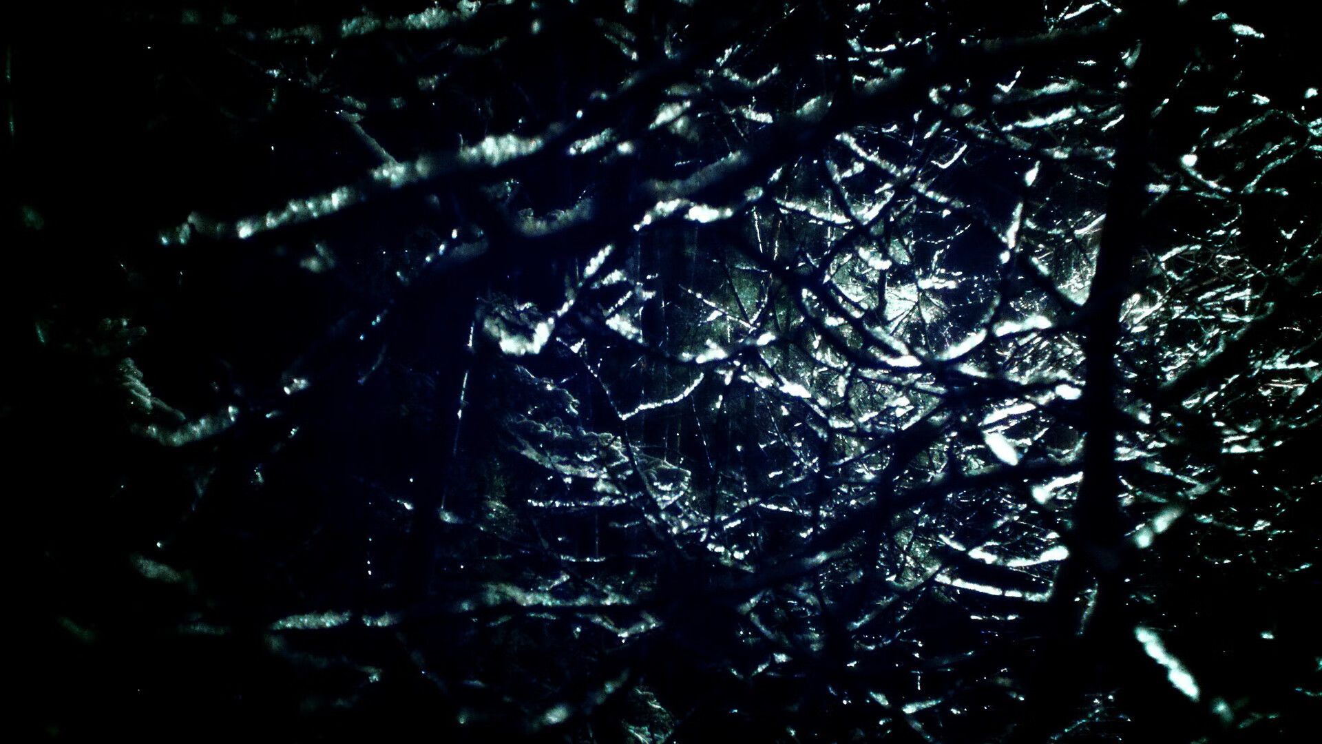 开云体育手机版-NBL赛程紧凑竞争激烈，nbl联赛战况