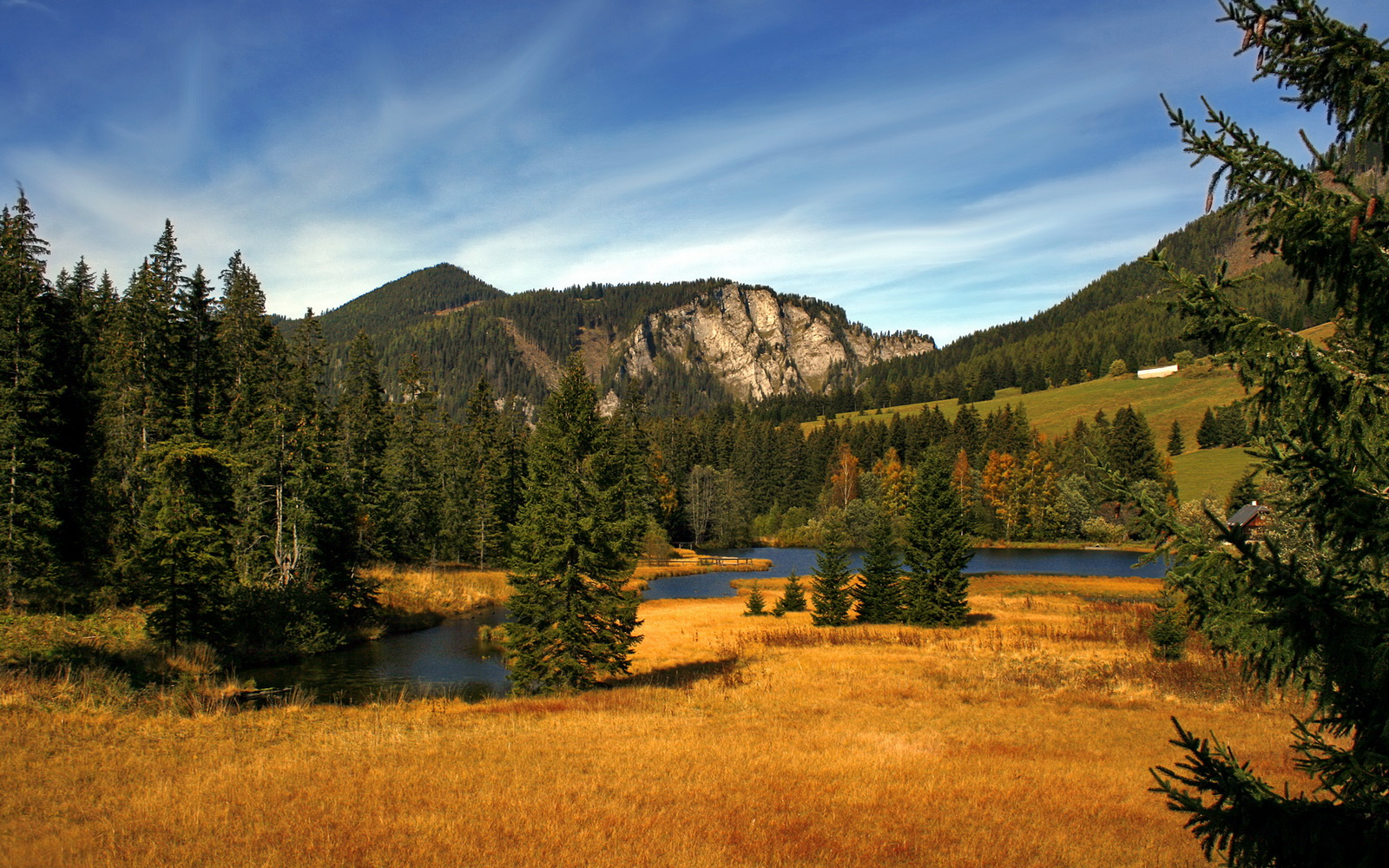 开云在线-巴萨客场2-0战胜莱万特，继续保持不败纪录，巴萨对战莱万特