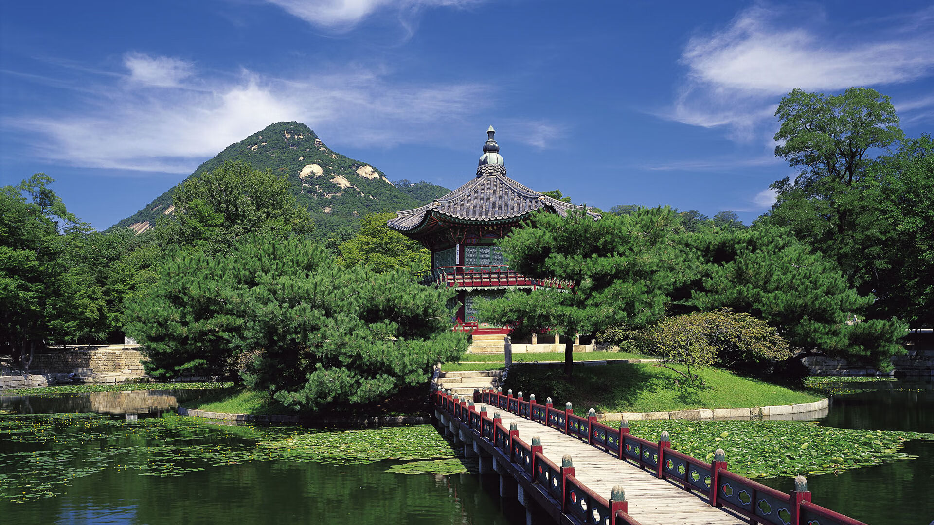 正版开云体育娱乐app-巴朗加国王主帅战术布置得当，巴朗加斯怪兽