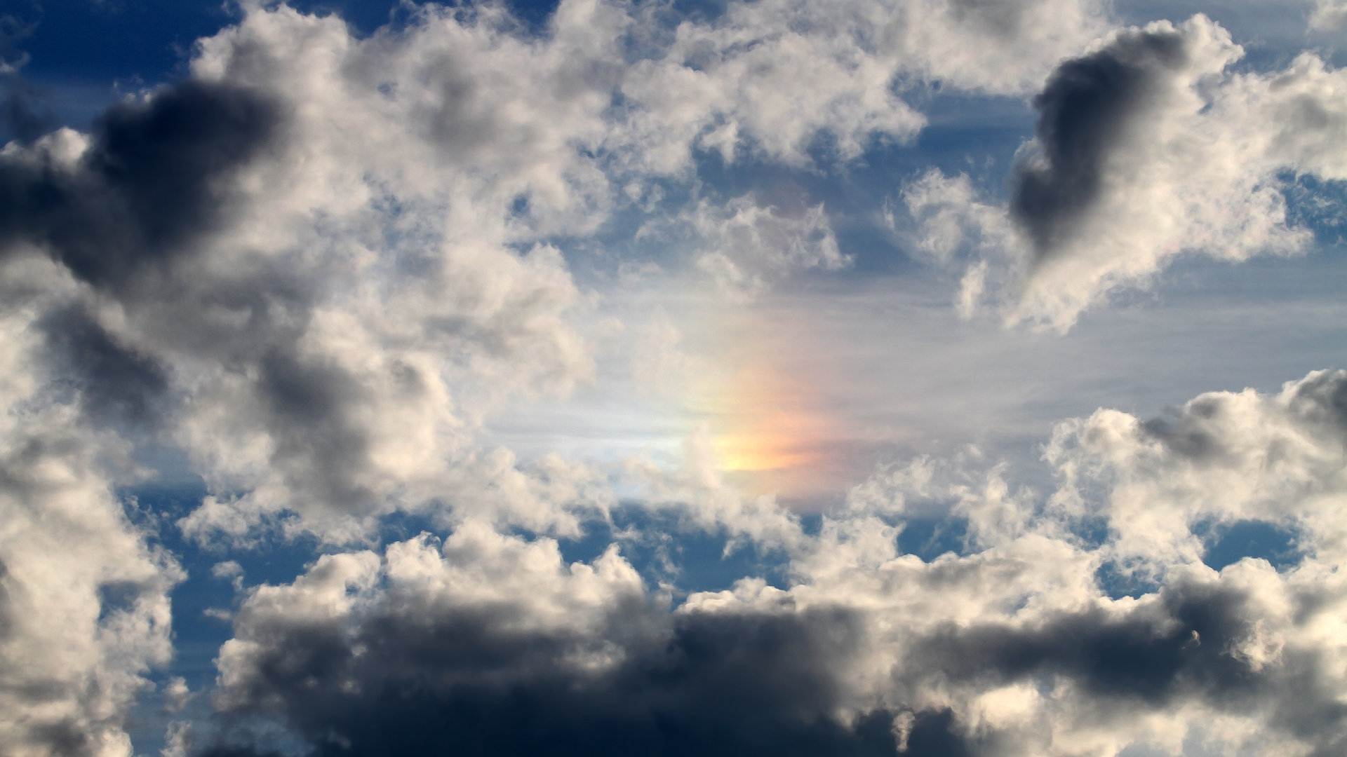 开云在线-沃特福德中场组织出色,黄蜂军团冲刺保级,沃特福德2021阵容