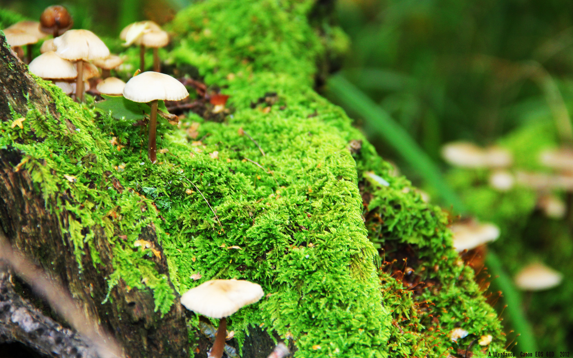 开云体育平台安全吗-球员抗压心理素质是否需纳入青训课程