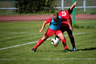 开云体育官方app-体育赛事志愿者管理及培训体系建设，体育赛事志愿者的工作要求