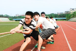 开云体育app安全下载-篮球运动员竞技心理素质培养与干预技术,篮球运动员的心理素质训练应把重点放在