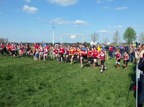 开云体育保障-青少年体育锻炼行为促进措施研究，《青少年体育活动促进计划》