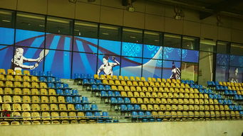 kaiyun sports-高校体育赛事安全管理体系构建，学校体育赛事体系