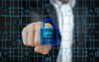 kaiyun sports-高校体育赛事安全管理体系构建,学校体育赛事体系