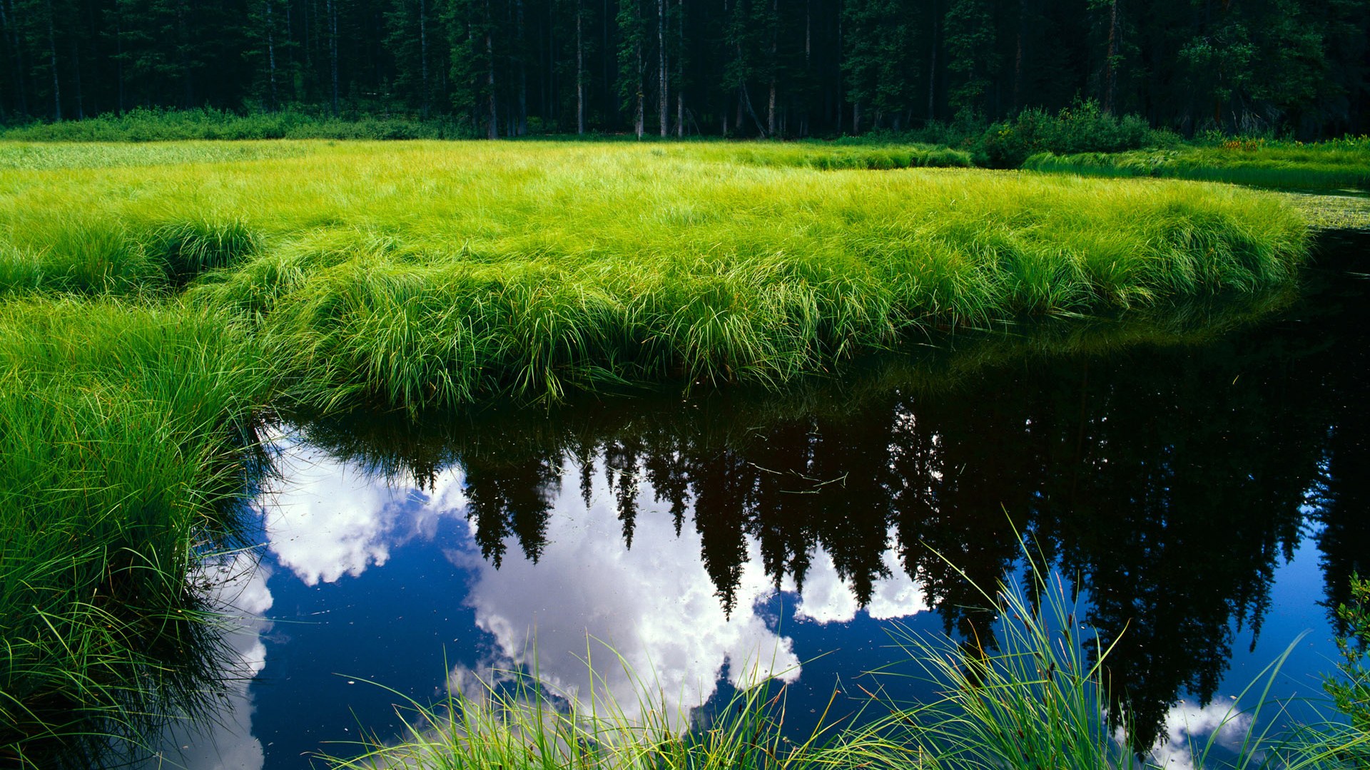 开云官方-开局阶段布阵稳定性如何决定后期排名走势，什么是开局阶段