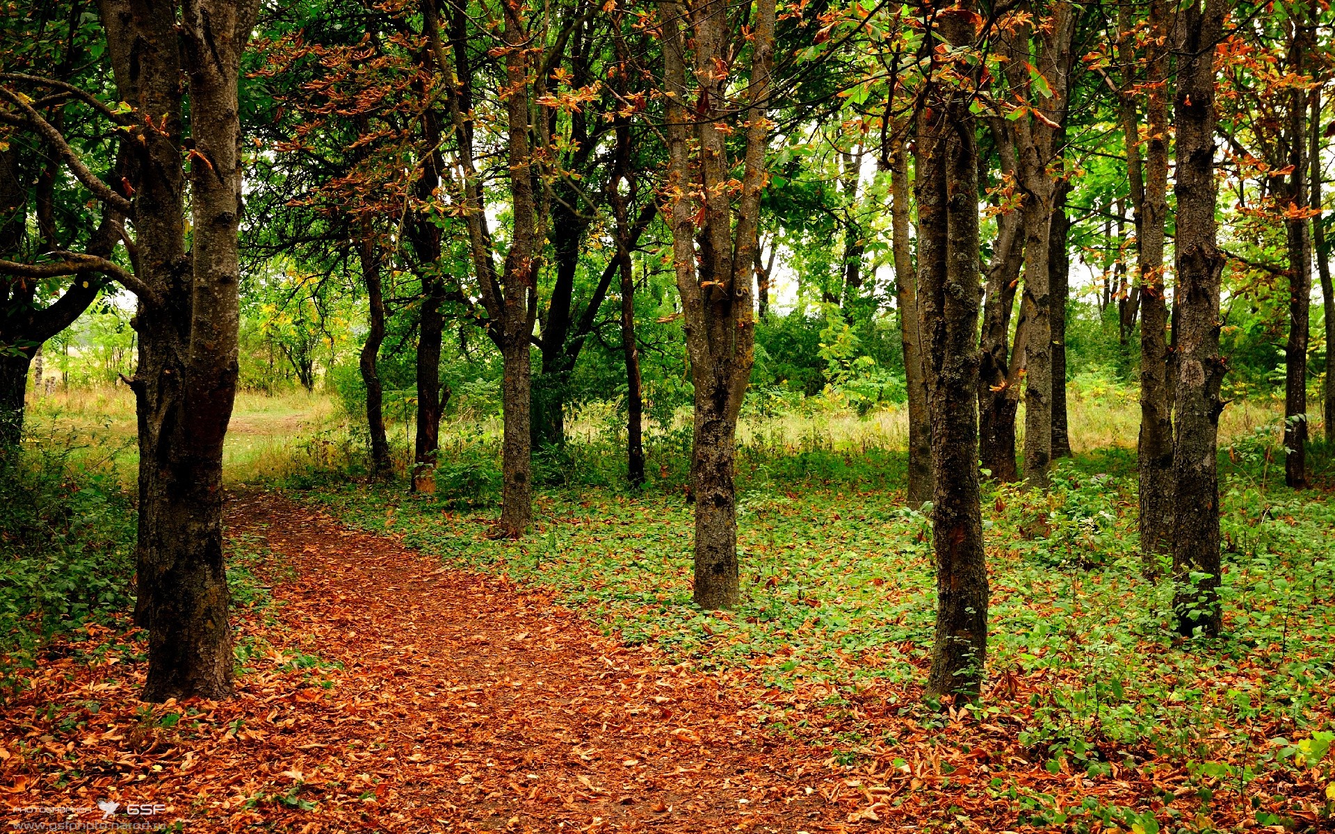 详细阅读:kaiyun app download-巴西队攻防转换流畅,争夺四强实力显现,巴西队最强 kaiyun app download-巴西队攻防转换流畅,争夺四强实力显现,巴西队最强